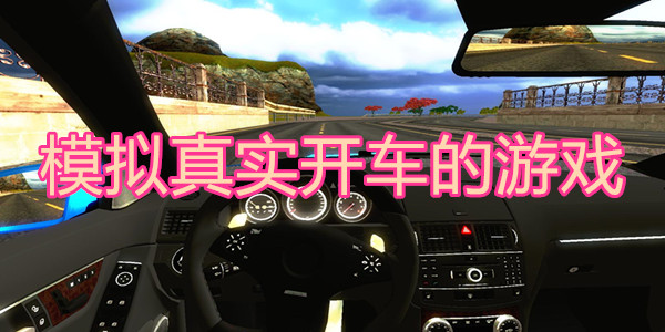 模拟真实开车的游戏