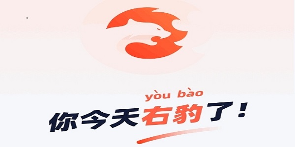 右豹