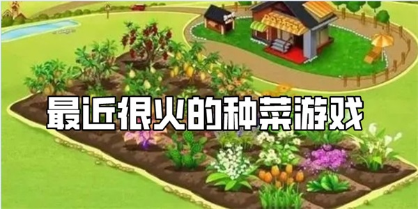 最近很火的种菜游戏