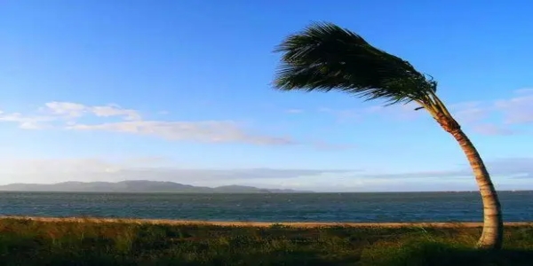 windy