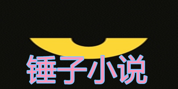 锤子小说