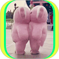 贴贴霸占他的屏幕app 