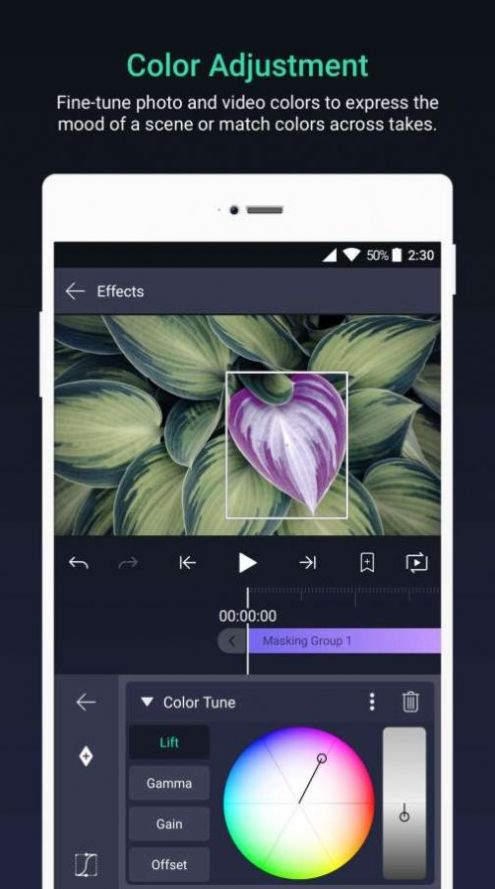 alight motion2025