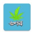 光标谱 