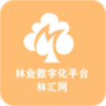 林汇网 
