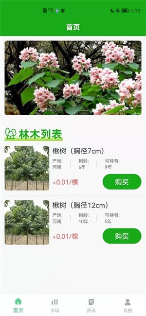 林汇网