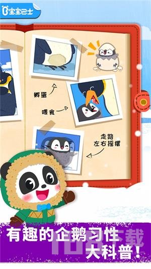 奇妙企鹅部落