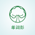 单词彭全脑中心 