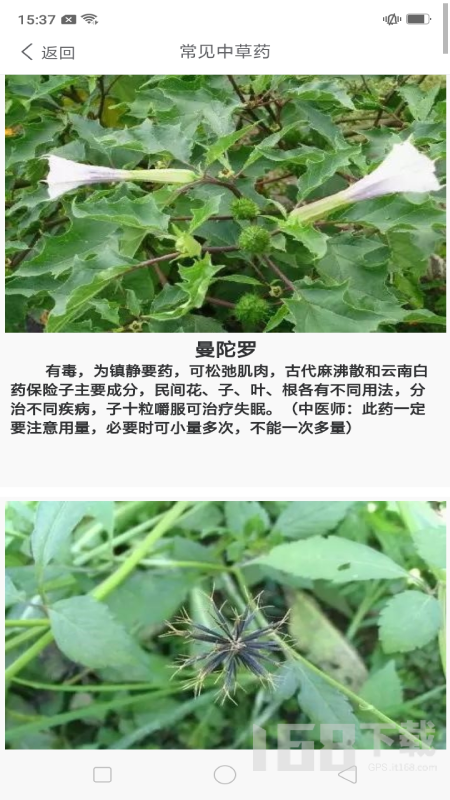 中药养生记