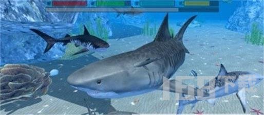 终极鲨鱼攻击3D