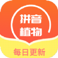 肉叶汉字拼音 