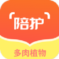 孕期帮手 