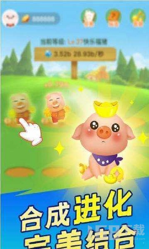 新阳光养猪场