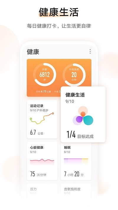 运动健康2025