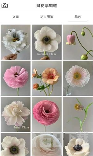 鲜花助力物理