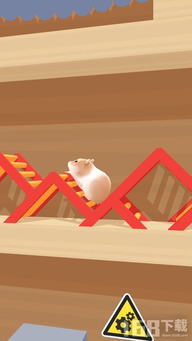 Hamster Maze