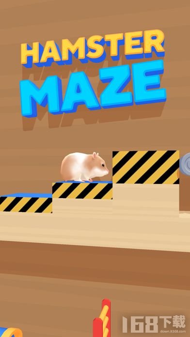 Hamster Maze