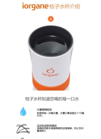 桔子水杯