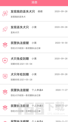 趣养犬
