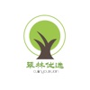 翠林优选 
