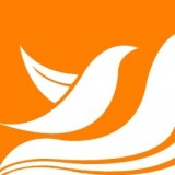 逆行加油站 