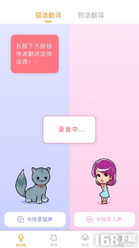 猫语翻译大师