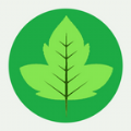 野外植物识别手册 