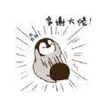 企鹅小灰 