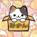 公园里的野猫 