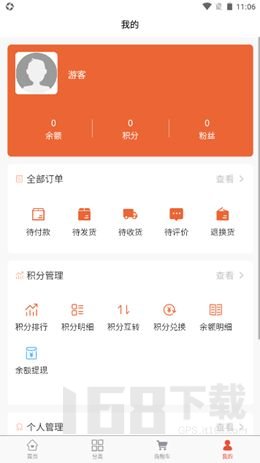 金币猫