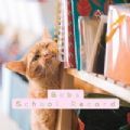 鲍勃的同学录 