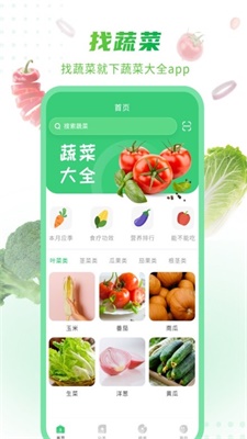 有机蔬菜大全