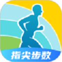 指尖步数 