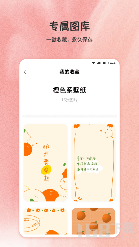 小王壁纸