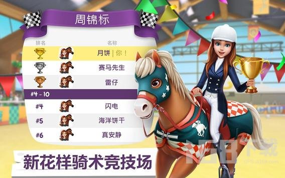 我的赛马故事