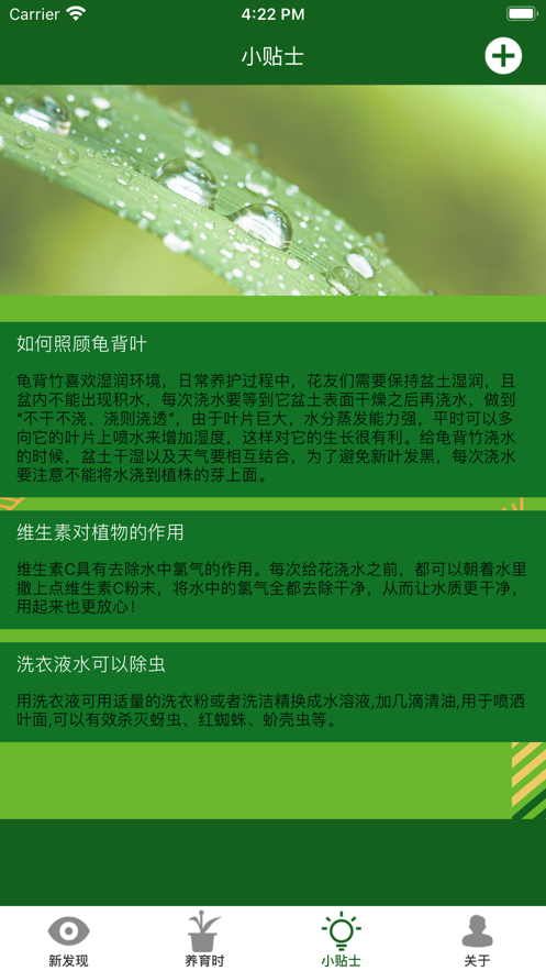 满眼青翠
