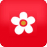 mimimi动漫网免费 