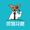 灵狗找房 