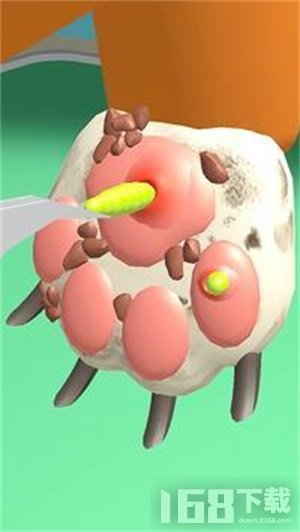 爪子护理