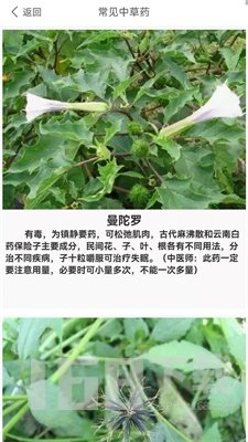 养生健康减肥