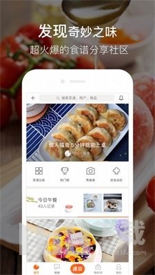 木鱼减脂