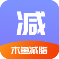 木鱼减脂 