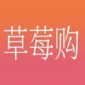 草莓购 