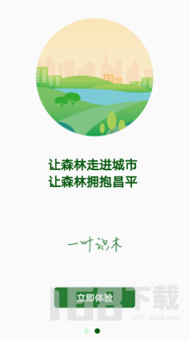 一叶识木