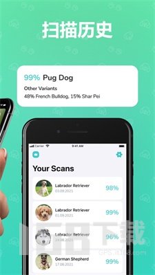 狗狗犬种识别