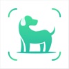 狗狗犬种识别 