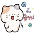 MeawTaoHoo 