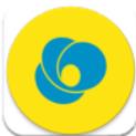 wavepay软件 