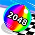 2048算个球 