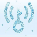wifi爆破神器工具 